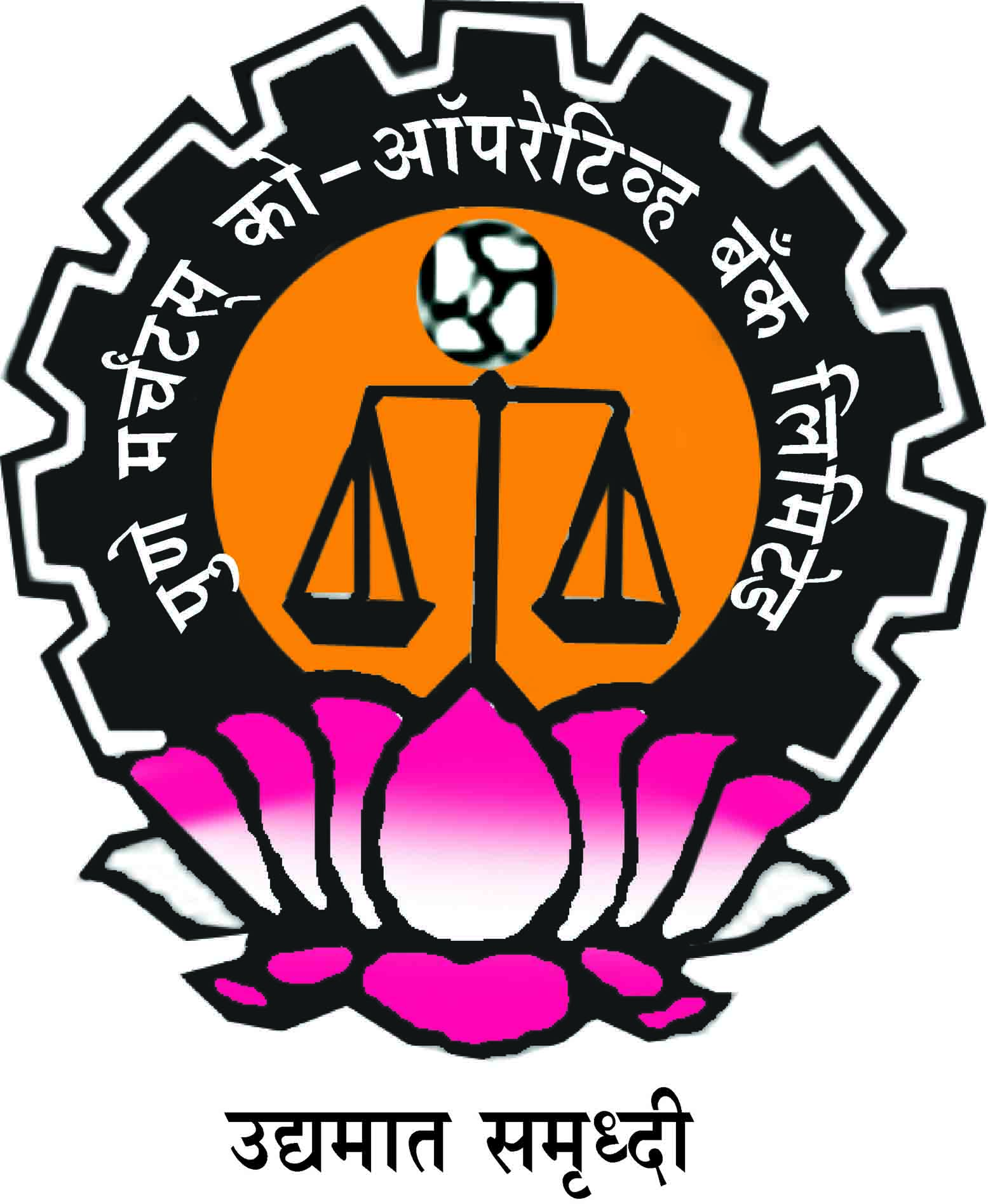 PMCBL logo
